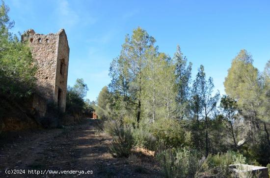 finca de montaña de 201 hectareas - MURCIA