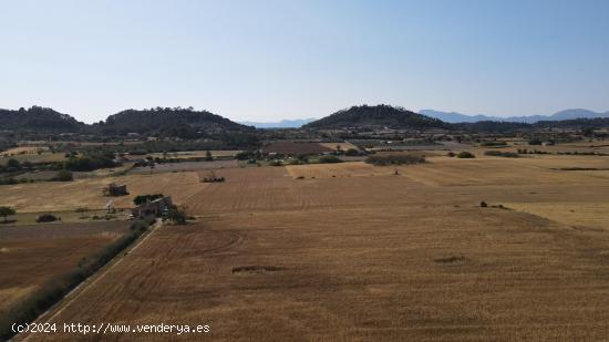 Terreno con Proyecto basico y  licencia en Sant Joan - BALEARES