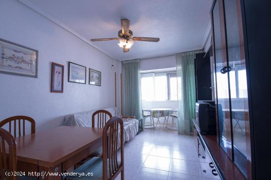 APARTAMENTO DE 1 DORMITORIO 1 BAÑO EN CENTRO DE TORREVIEJA ( ALICANTE ) - ALICANTE