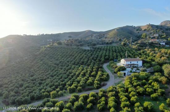  Fincas de Regadío en ÁLORA - MALAGA 