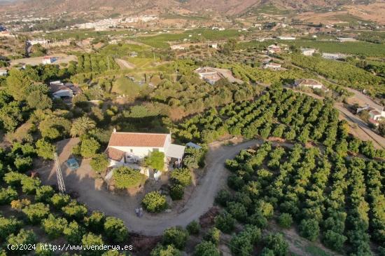 Fincas de Regadío en ÁLORA - MALAGA