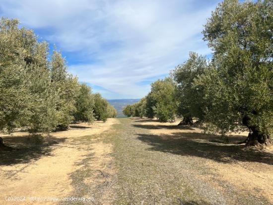 Se Vende en Úbeda - JAEN