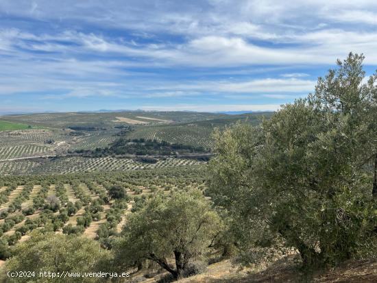 Se Vende en Úbeda - JAEN