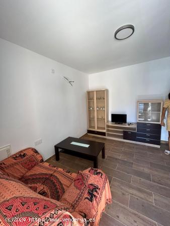 APARTAMENTO CERCA UCAM - MURCIA