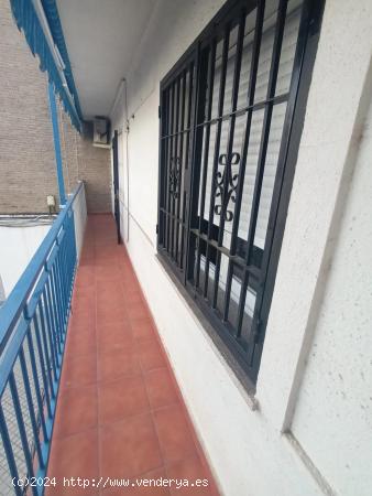  PISO EN EXCLUSIVA EN SAGUNTO / EDISOL - CORDOBA 