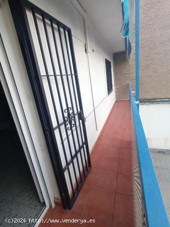 PISO EN EXCLUSIVA EN SAGUNTO / EDISOL - CORDOBA