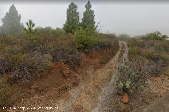 Terreno Rústico en el Encantador Paisaje de Siete Lomas, Arafo - SANTA CRUZ DE TENERIFE