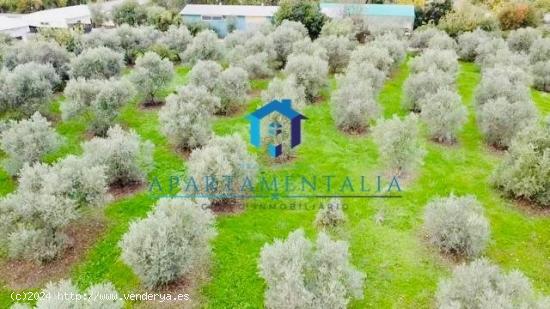 Venta de Parcela/Terreno de 5000 m² en Hipercor-Carretera de Trassierra, Córdoba - CORDOBA