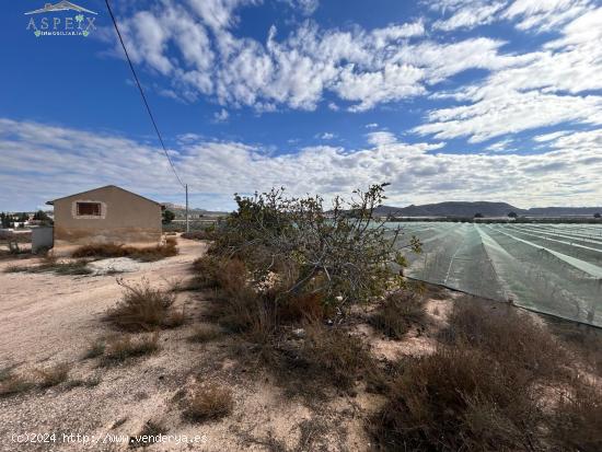  Terreno con albergue en Monforte del Cid - ALICANTE 