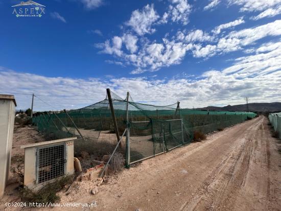  Terreno en Monforte del Cid - ALICANTE 