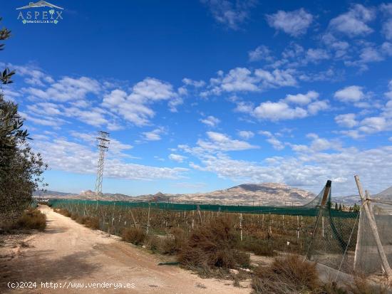 Terreno en Monforte del Cid - ALICANTE