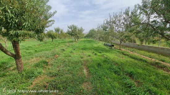 FINCA ECOLÓGICA A UNOS MINUTOS DEL PTS - GRANADA