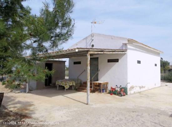  FINCA RUSTICA EN ZONA DERRAMADOR DE ELCHE - ALICANTE 