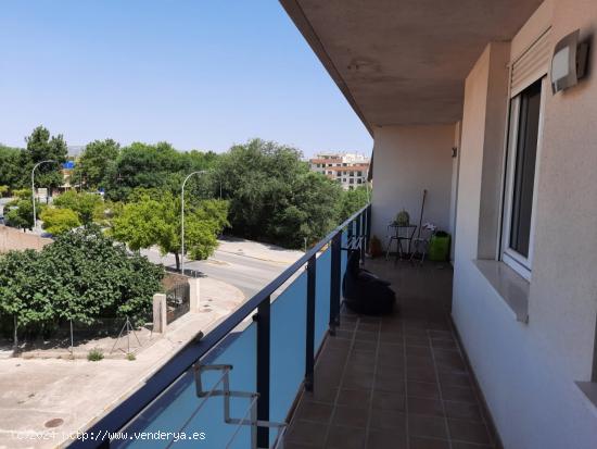 VIVIENDA TOTALMENTE EQUIPADA CON TERRAZA, GARAJE Y TRASTERO - ALBACETE