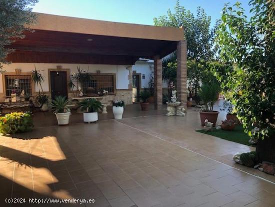 ¡¡¡ MAGNIFICO CHALET EN ZONA HUERTA DE MOLINA DE SEGURA !!! - MURCIA