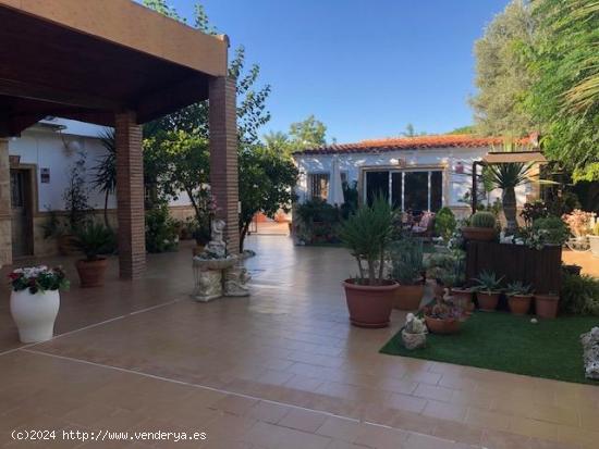 ¡¡¡ MAGNIFICO CHALET EN ZONA HUERTA DE MOLINA DE SEGURA !!! - MURCIA