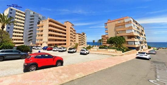  APARTAMENTO DE 1 DORMITORIO EN CABO CERVERA - ALICANTE 