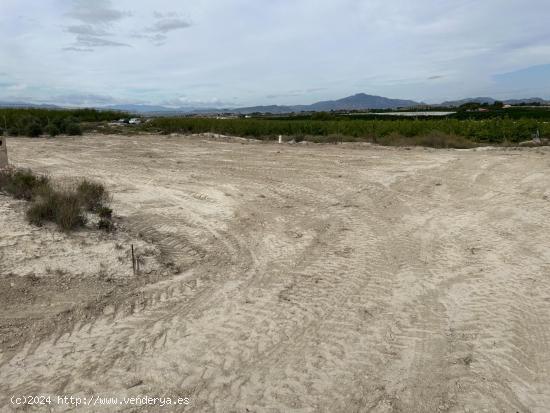 ++Terreno rustico en Molina de Segura zona El romeral,++ - MURCIA