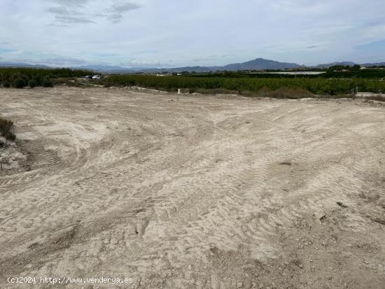 ++Terreno rustico en Molina de Segura zona El romeral,++ - MURCIA