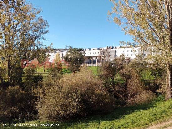 Terreno Edificable en núcleo urbano - PONTEVEDRA