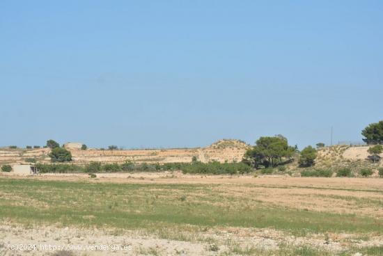 Finca rústica de 20,7 Ha. en Murcia en la pedanía de Gea y Truyols. Gran bajada de precio. - MURCI