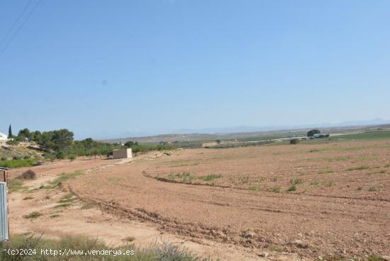 Finca rústica de 20,7 Ha. en Murcia en la pedanía de Gea y Truyols. Gran bajada de precio. - MURCI