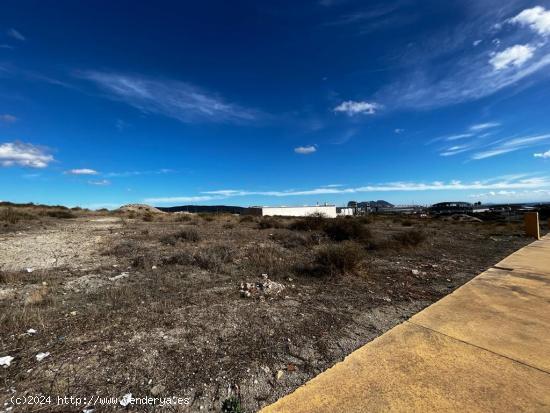 Parcela de 2500 m2 en el Polígono Industrial La Pólvora en Taraguilla- San Roque - CADIZ