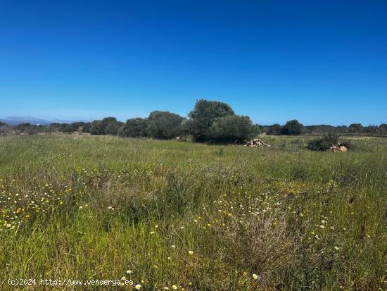 TERRENO PARA EDIFICAR CASA, CON VISTAS A MAR - BALEARES