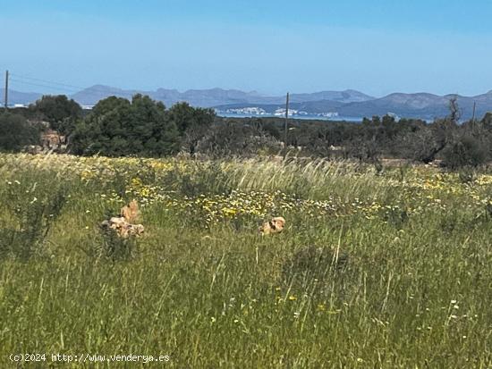 TERRENO PARA EDIFICAR CASA, CON VISTAS A MAR - BALEARES