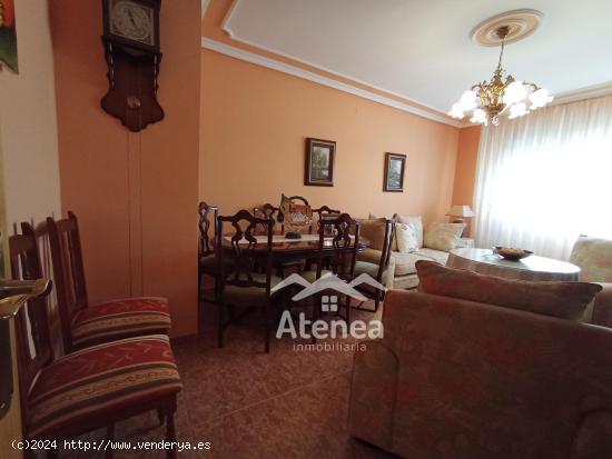 Piso a la venta en zona tranquila - ALBACETE