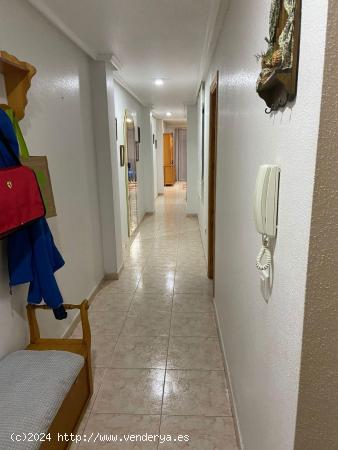 APARTAMENTO A 80 METROS DE LA PLAYA.  1 DORM. 1 BAÑO. 70 M2. - ALICANTE