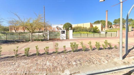 RESIDENCIA DE MAYORES EN CALZADA DE CALATRAVA (CIUDAD REAL) - CIUDAD REAL