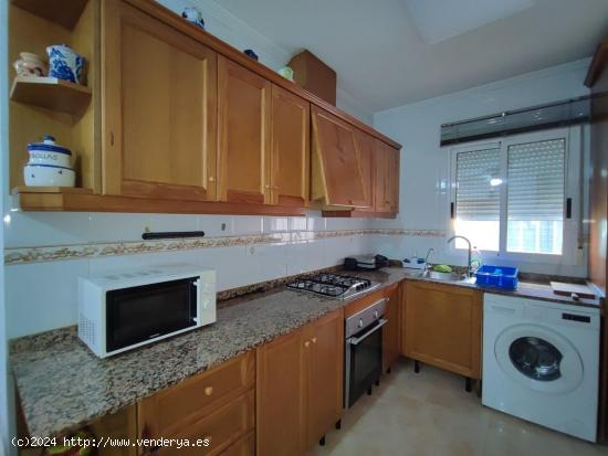 FANTASTICO APARTAMENTO EN ALQUILER TEMPORADA (TORREVIEJA) - ALICANTE