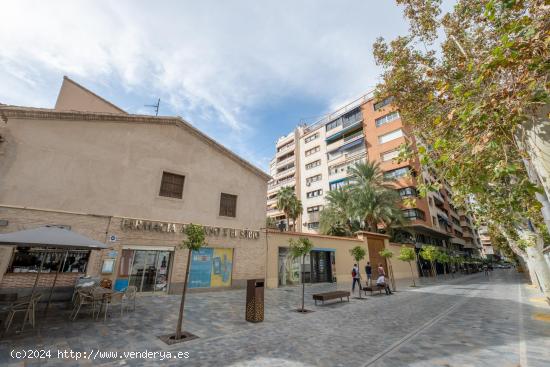 Espectacular vivienda en Alfonso X el Sabio Murcia - MURCIA