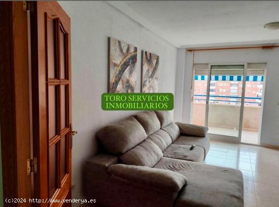 ALQUILER DE EXCELENTE VIVIENDA ZONA ALBUFERETA - ALICANTE