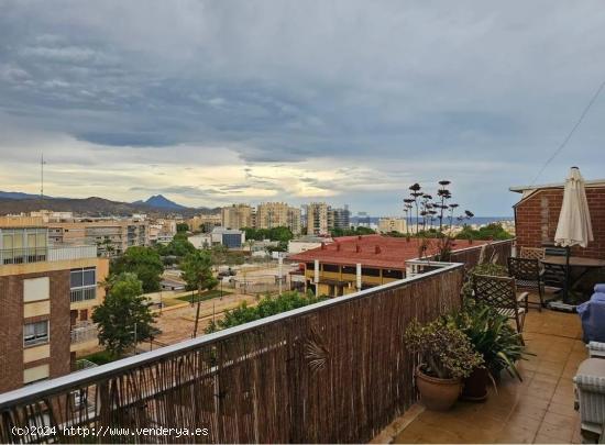 ALQUILER DE EXCELENTE ATICO CON VISTAS AL MAR ZONA CAMPELLO PUEBLO - ALICANTE