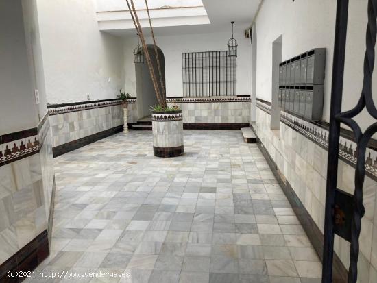 SE VENDE ATICO EN JEREZ DE LA FRONTERA , ZONA CENTRO - CADIZ