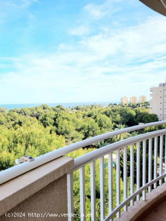 Apartamento en venta en Orihuela (Alicante)