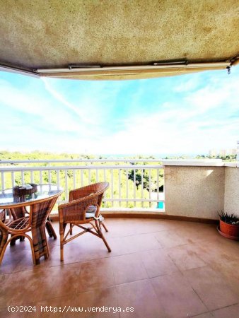 Apartamento en venta en Orihuela (Alicante)