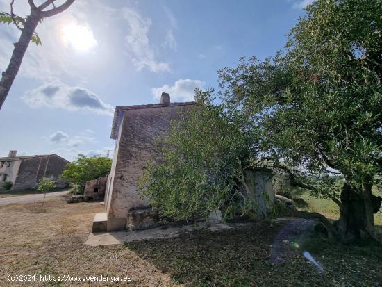 ¡Crea tu oasis de paz en L'Ampolla con esta finca rústica para reformar! - TARRAGONA