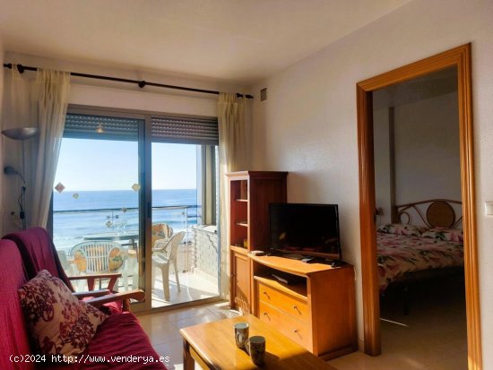 Apartamento en venta en Torrevieja (Alicante)