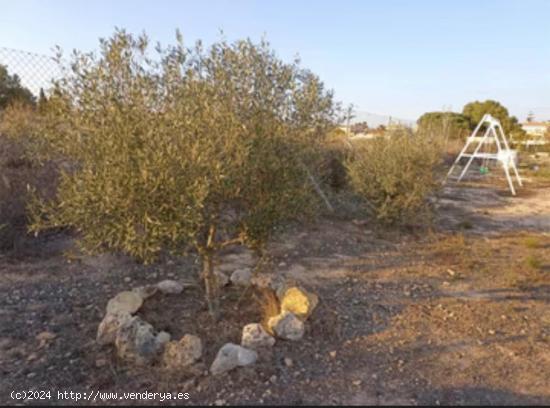 ESTUPENDO SOLAR EN ZONA LOS GIRASOLES - ALICANTE