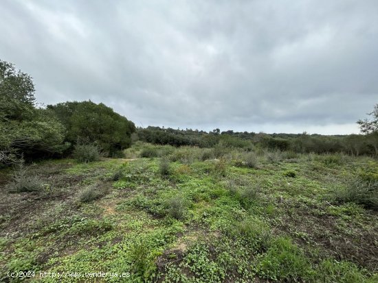  Parcela en venta en San Roque (Cádiz) 