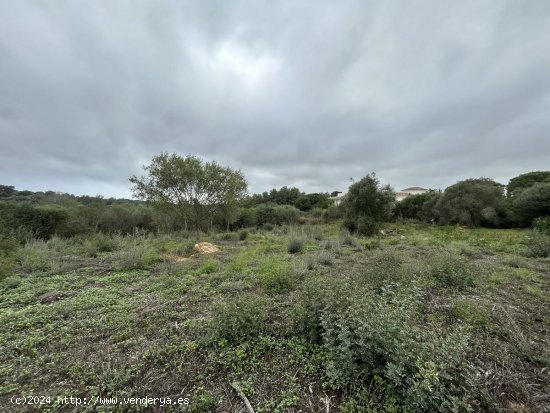 Parcela en venta en San Roque (Cádiz)