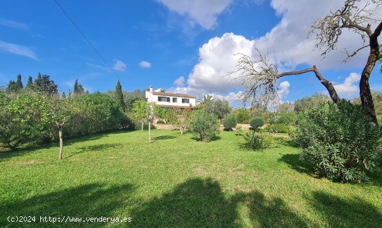 Finca en venta en Llucmajor (Baleares)