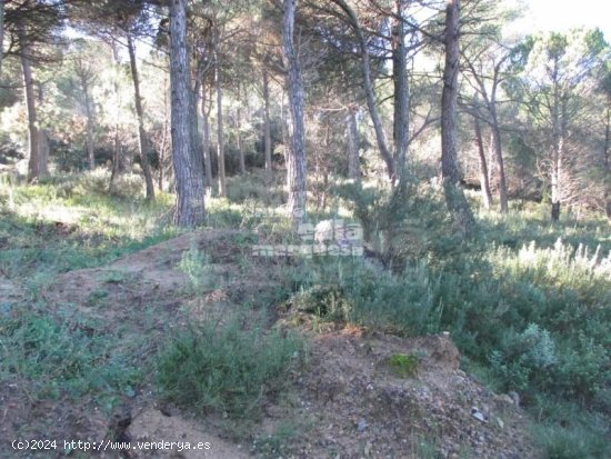  Parcela en venta en Begur (Girona) 