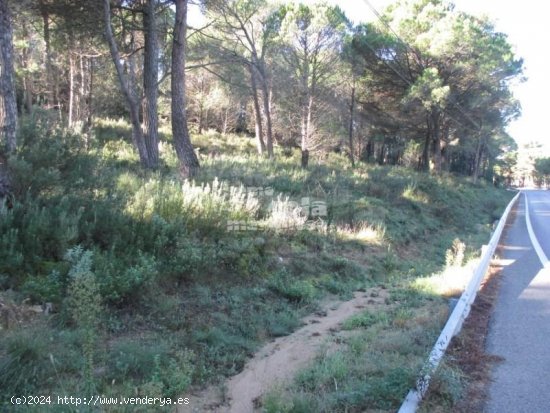 Parcela en venta en Begur (Girona)