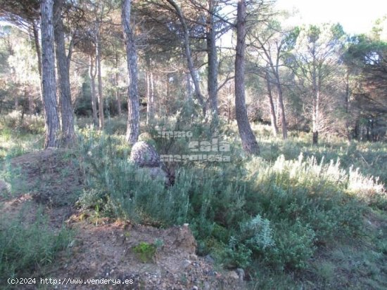 Parcela en venta en Begur (Girona)