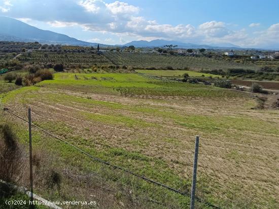  FINCA RUSTICA CON CASA DE APEROS - MALAGA 