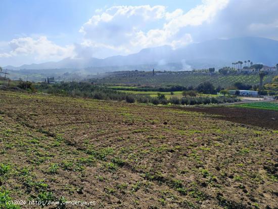 FINCA RUSTICA CON CASA DE APEROS - MALAGA